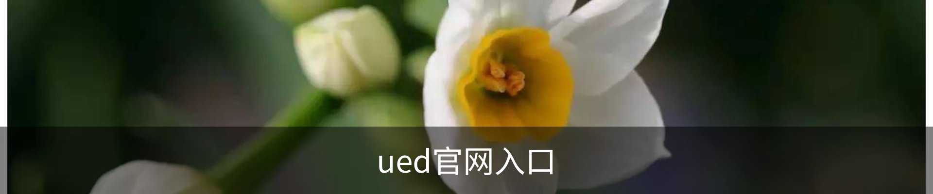 UED·(中国区) - 官网